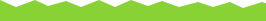 Local agencies section divide green