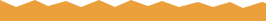 Local agencies section divide light orange